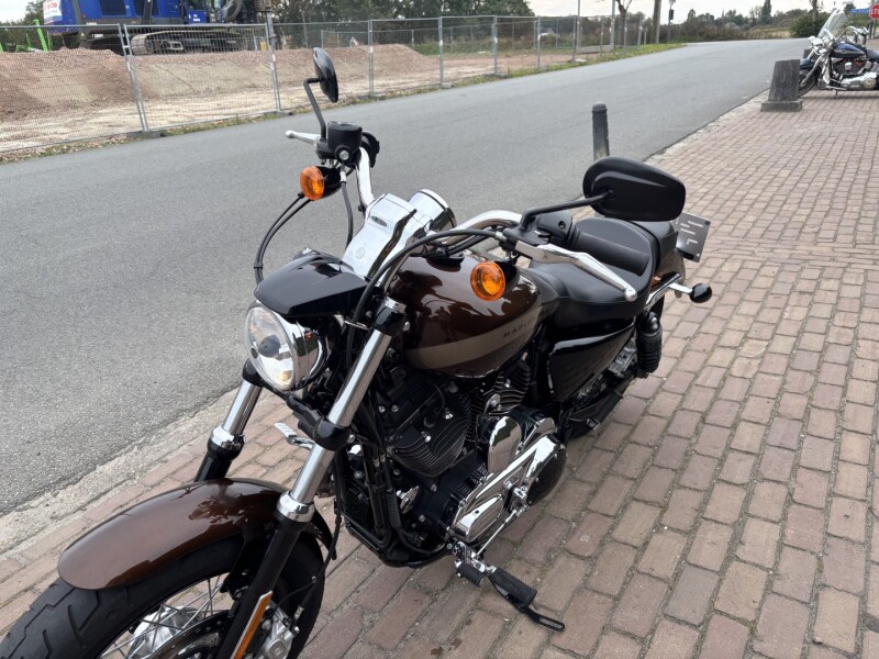 custom 1200 sportster 