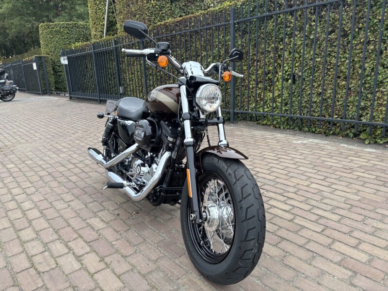 custom 1200 sportster 
