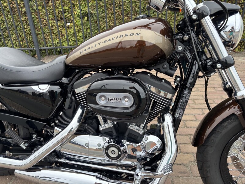 custom 1200 sportster 