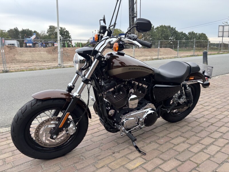 custom 1200 sportster 