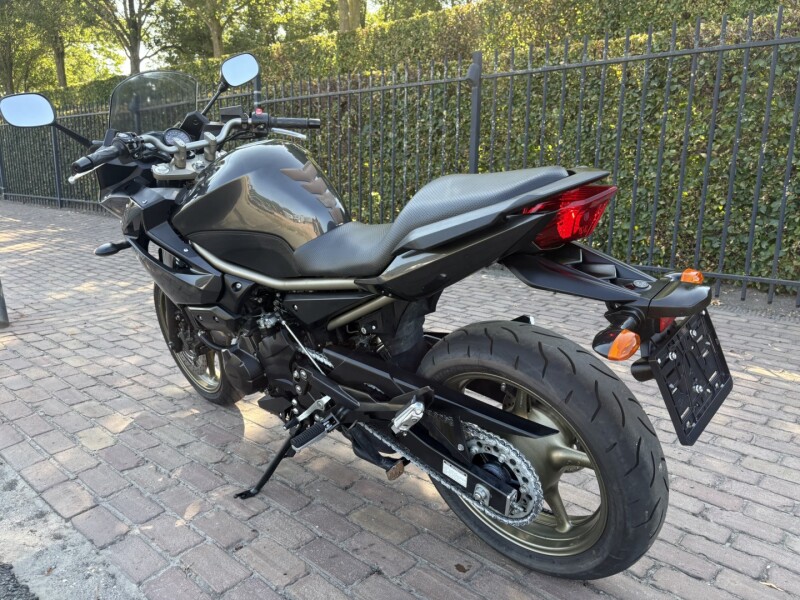 Diversion 600 - ABS