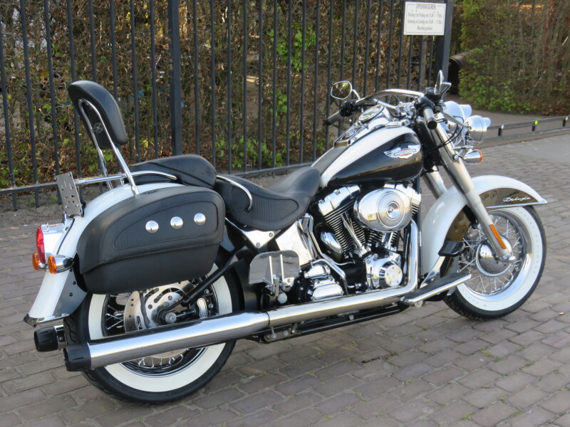 Softail deluxe 