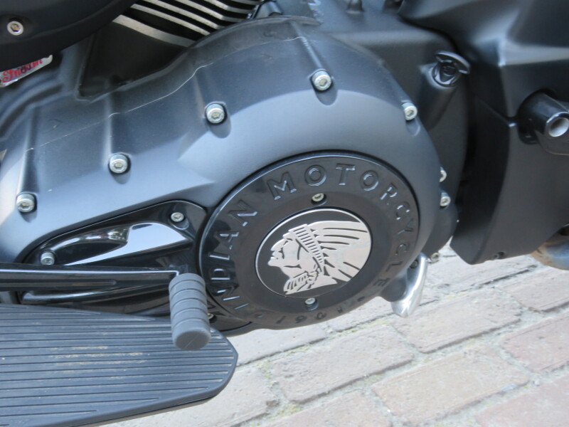 Springfield dark horse