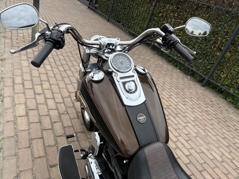 Super Glide Custom (110e Anniversary) 