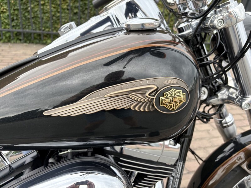 Super Glide Custom (110e Anniversary) 