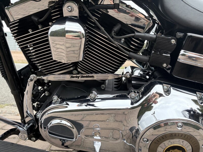 Super Glide Custom (110e Anniversary) 