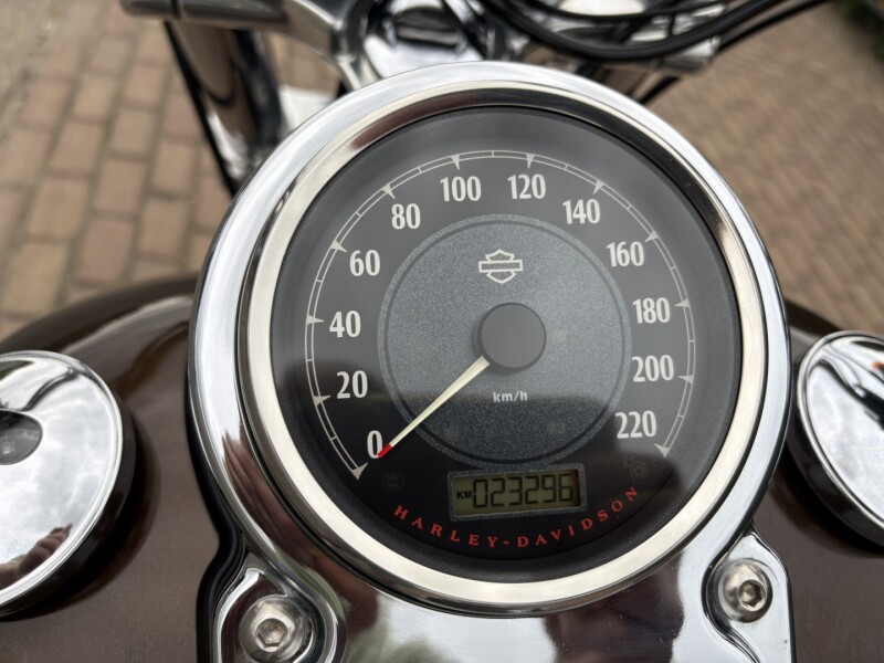 Super Glide Custom (110e Anniversary) 