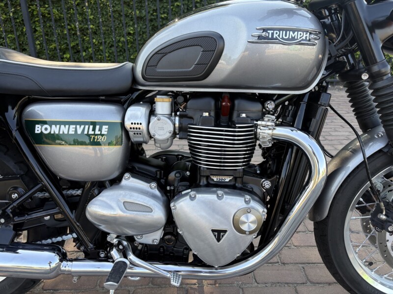 T 120 Goldline