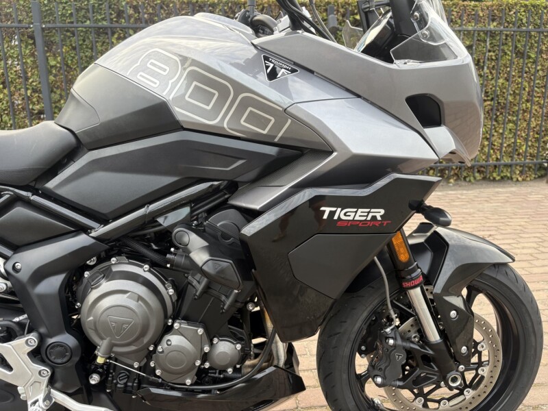 Tiger 800 Sport