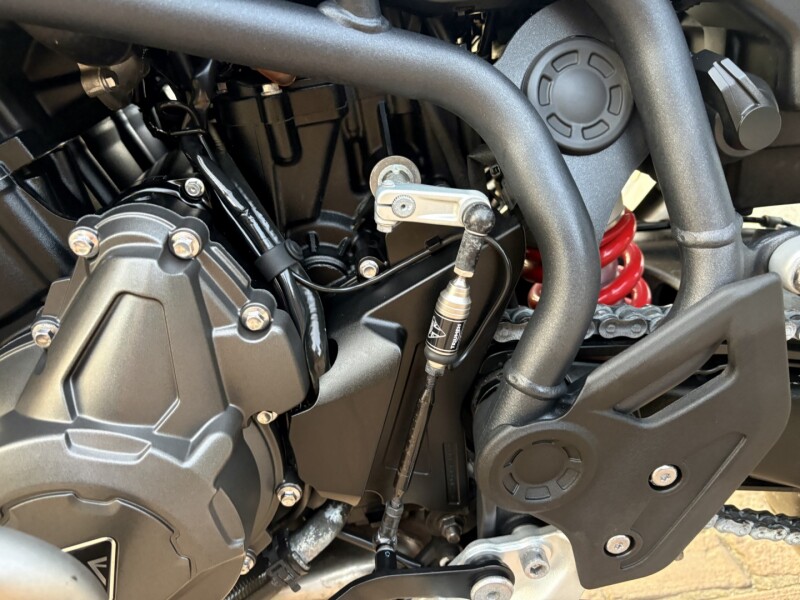 Tiger 900 GT Pro