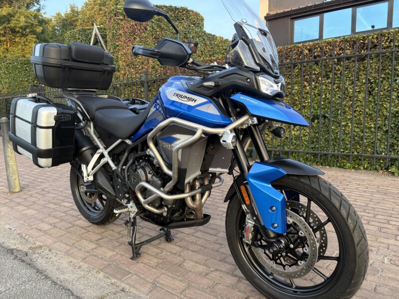 Tiger 900 GT Pro