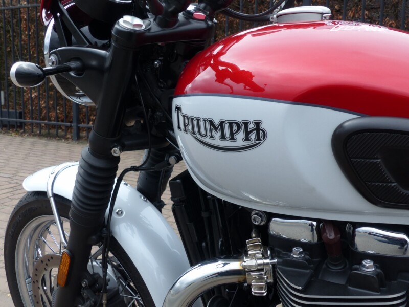 Triumph T 120  Bud Ekins 