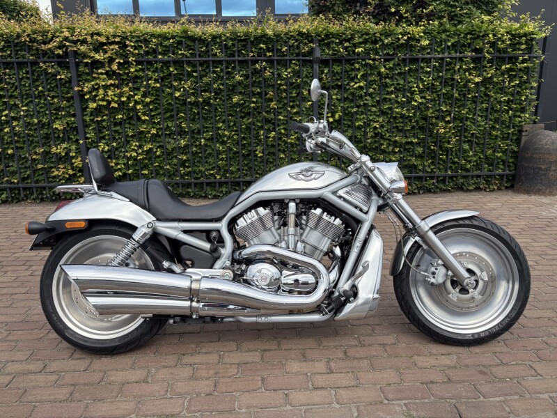 V - Rod (100 Jarige)