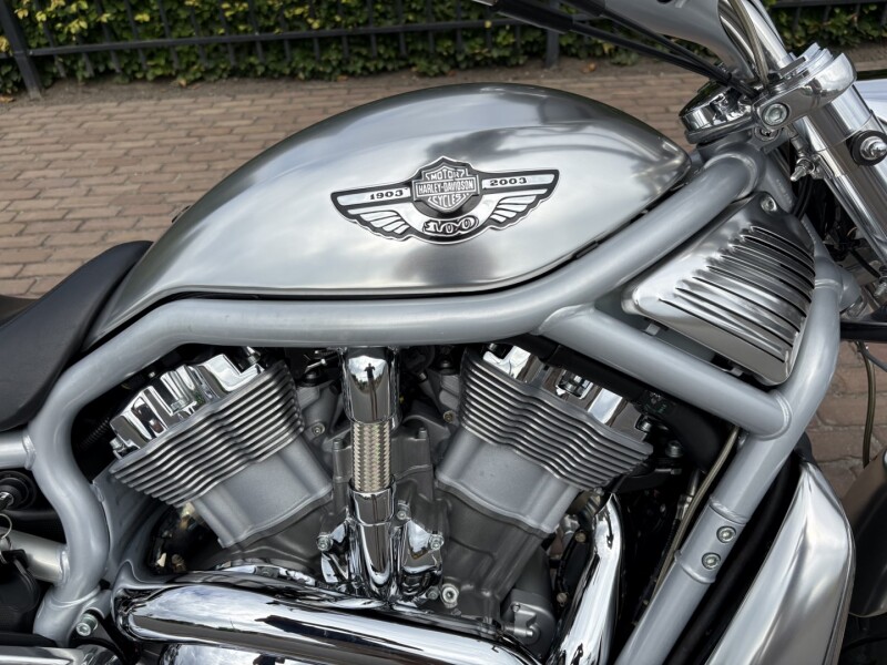 V - Rod (100 Jarige)