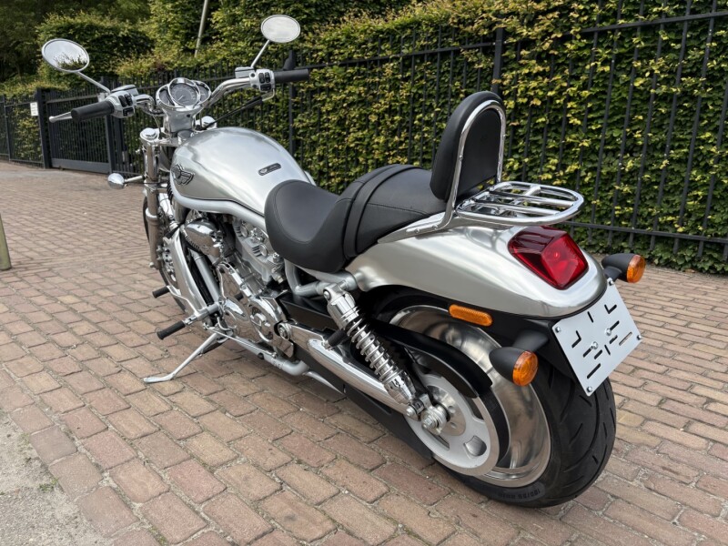 V - Rod (100 Jarige)